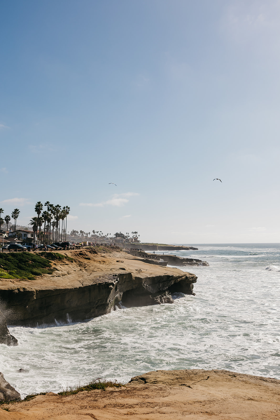 Coastal cliffside overlooking ocean waves and rocky shoreline in san diego wedding setting